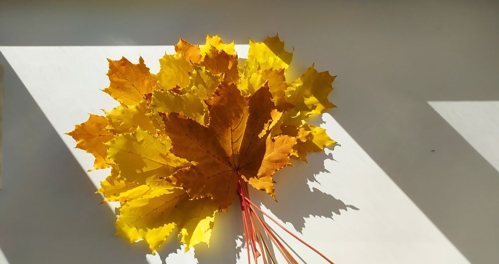 Photograph by Татьяна Клемба