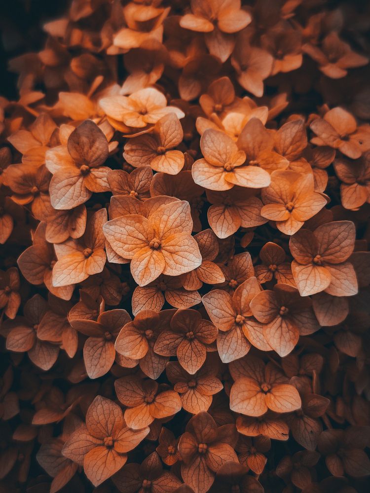 Photograph by Кристина Полякова