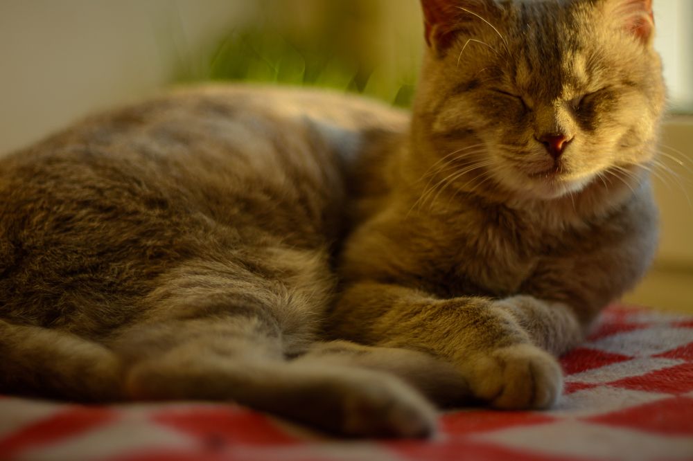 Photograph by Елена Берсенёва