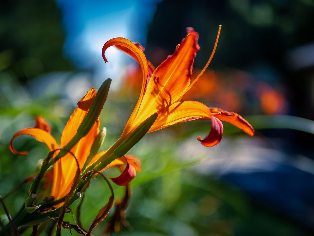 Photograph by Елена Берсенёва