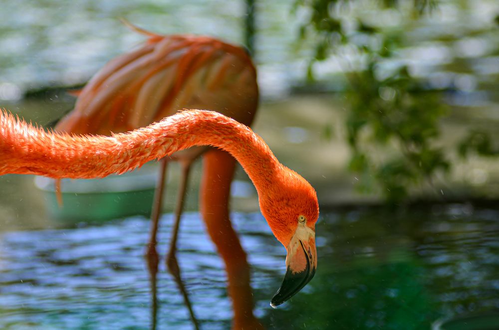 Photograph by Елена Берсенёва