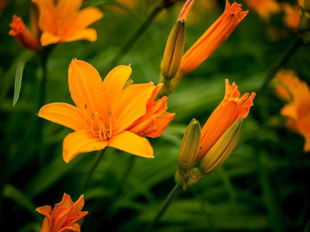 Photograph by Елена Берсенёва