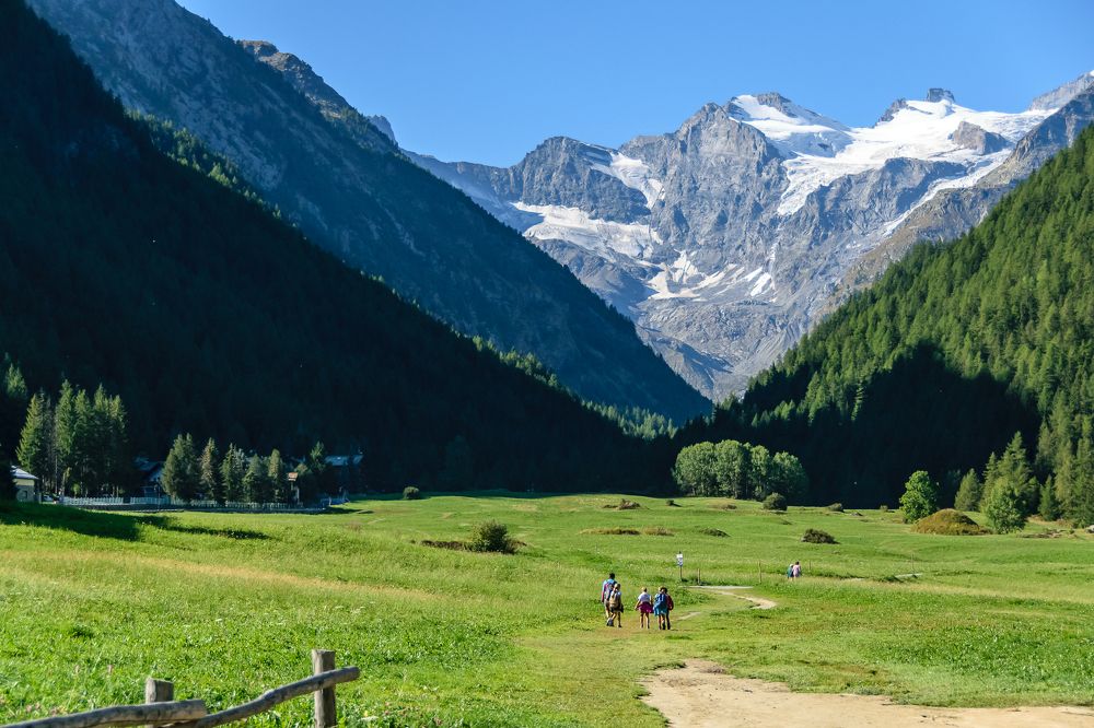 Фотография автора Андрей Симонов