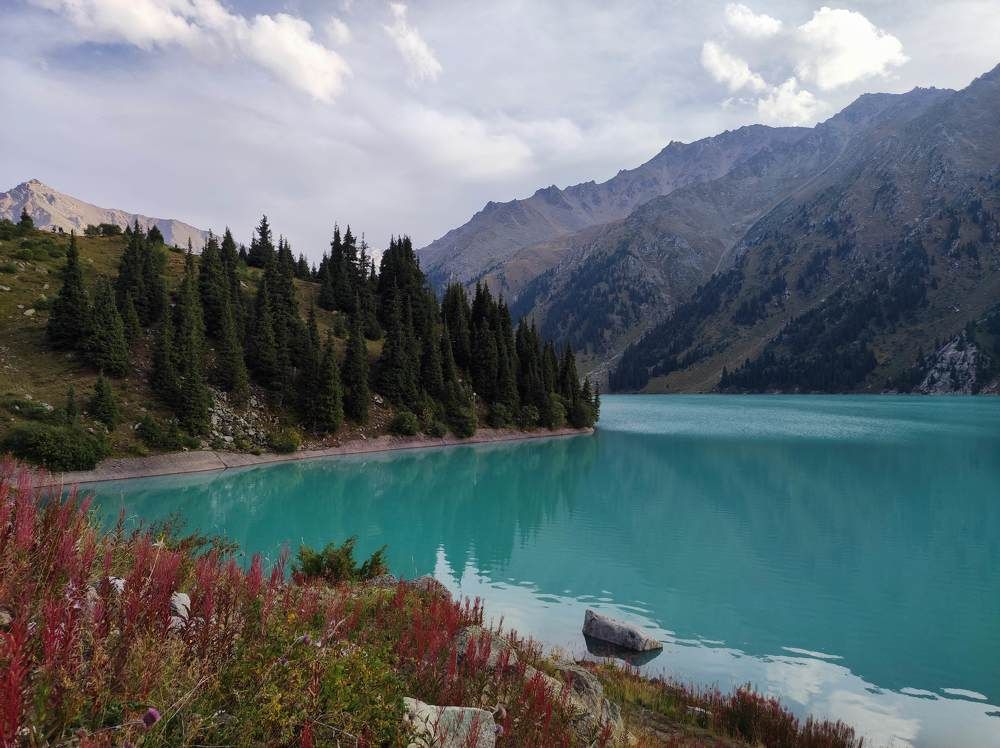 Photo #11494529