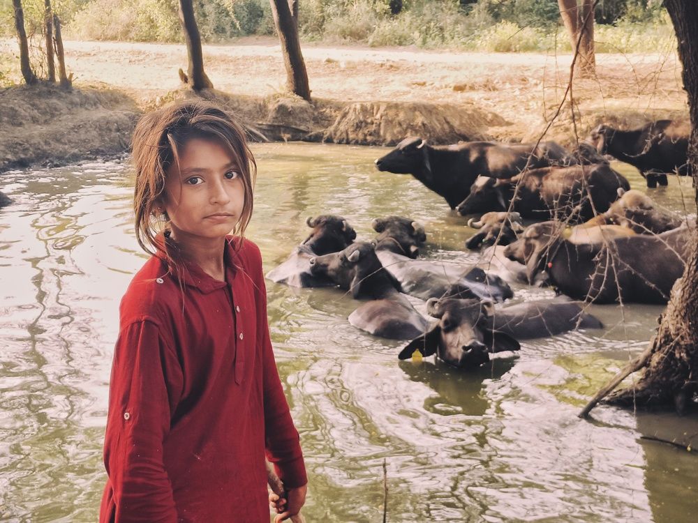 Photograph by Soham Prajapati