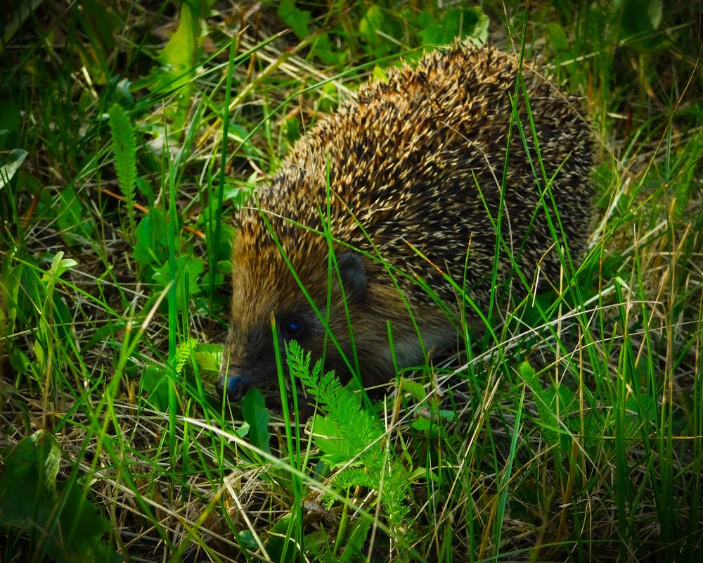 Photograph by Олеся Бронзова