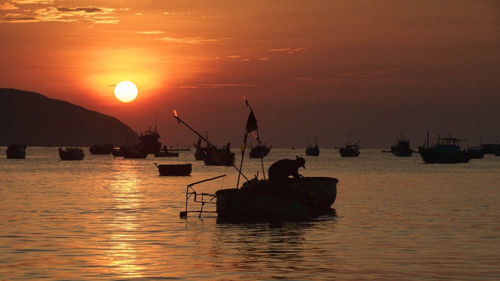 Photograph by Nam Tran Duy