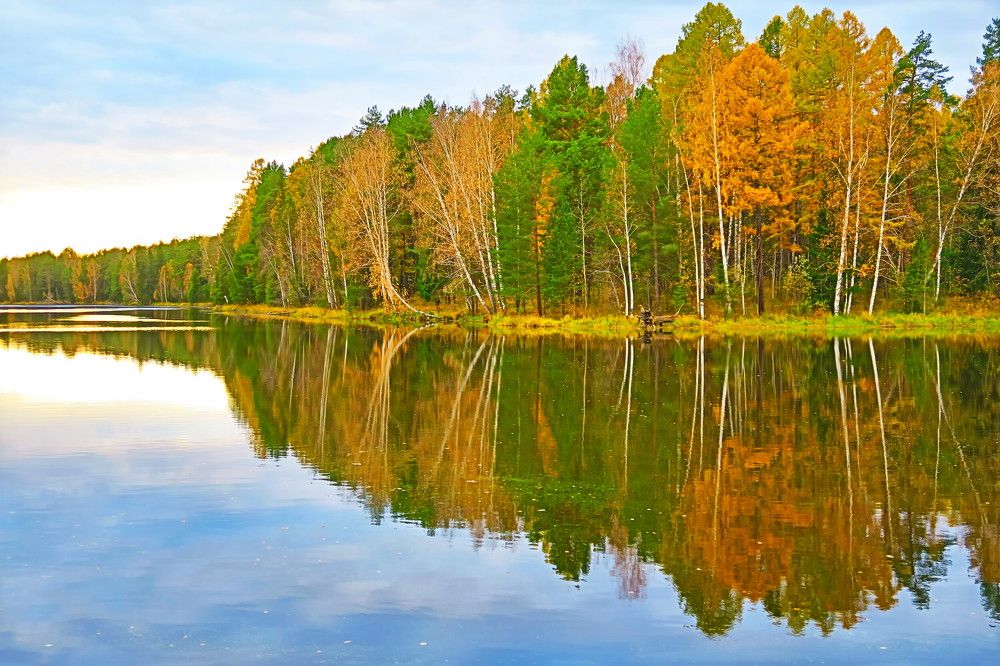 Photograph by Орл Про