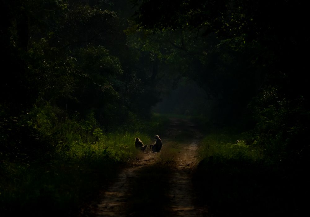 Photograph by SAMITA SARAF