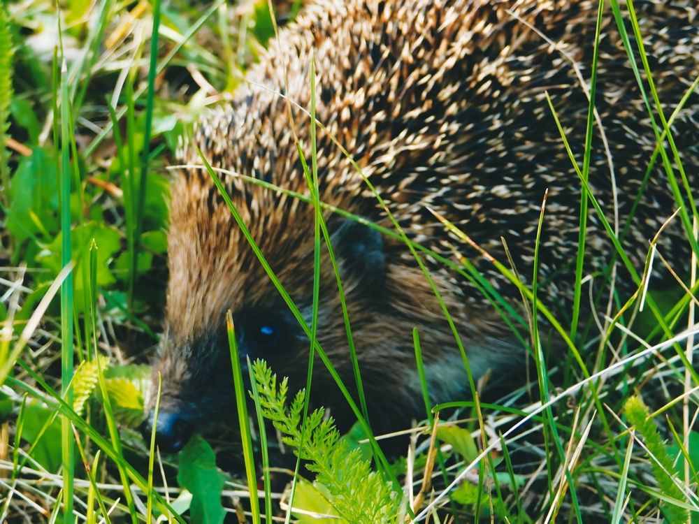 Photograph by Олеся Бронзова