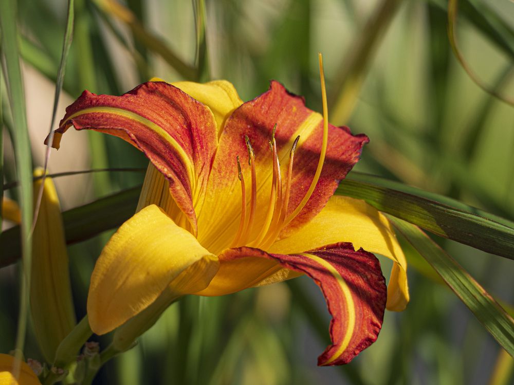 Photograph by Надежда Михайлина