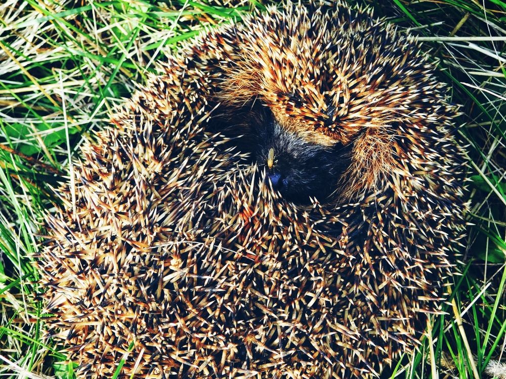 Photograph by Олеся Бронзова