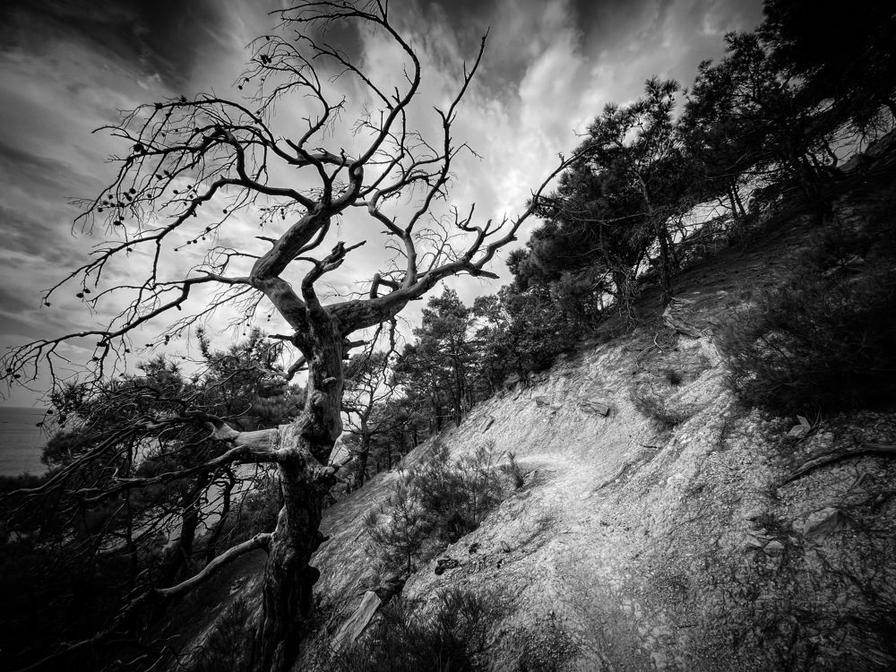 Прогулка по Колдуну