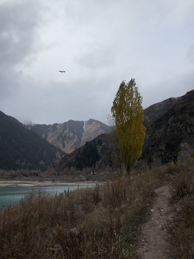 Фотография автора Anel Akhmetbekova