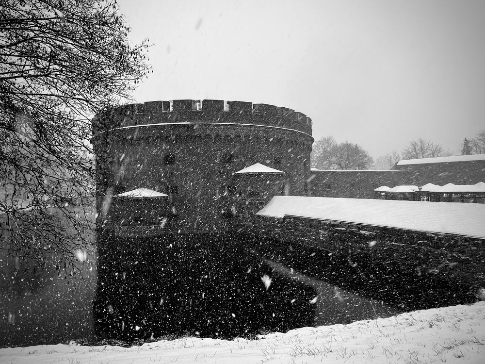 Photograph by Татьяна Михайловна