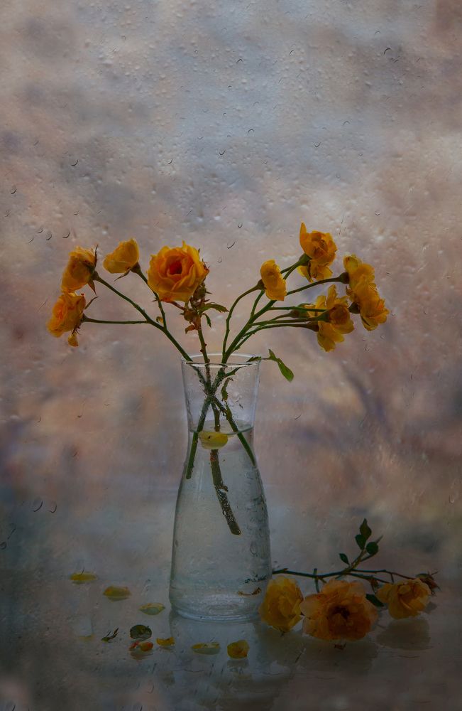 Photograph by Татьяна Назмутдинова