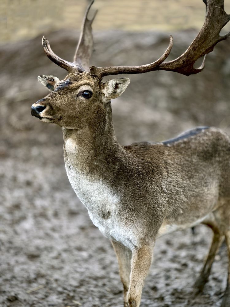 Photograph by Дина