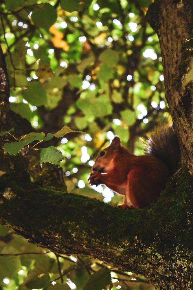 Photograph by Олеся Бронзова