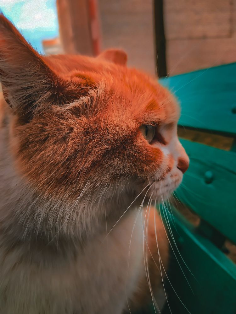 Photograph by Олеся Бронзова