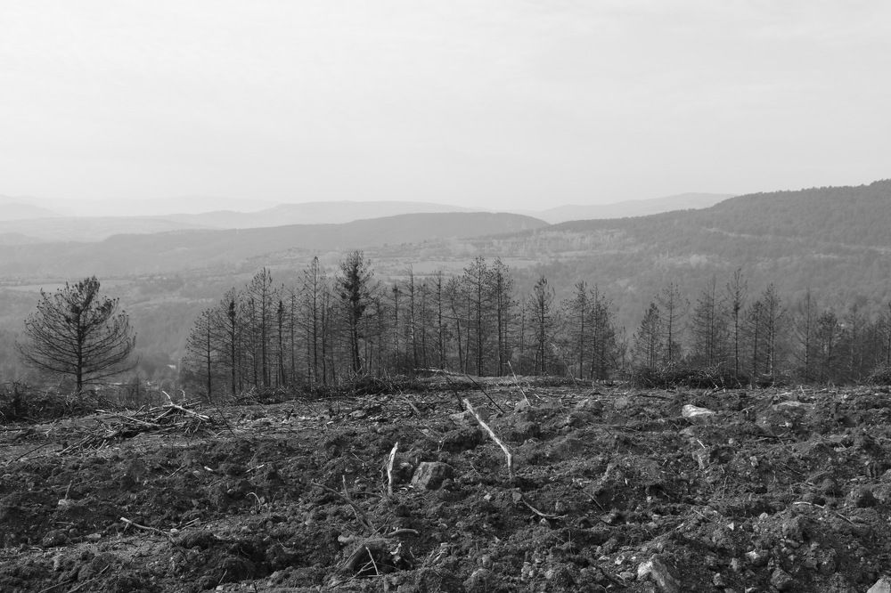 Photograph by Cengiz Yalcin