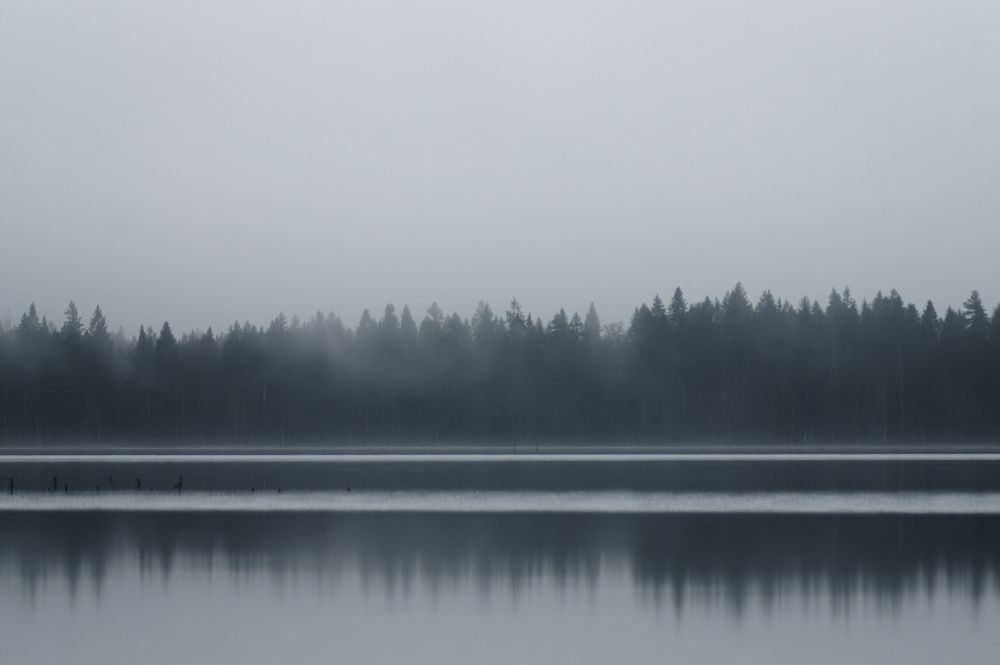 Photograph by Карина Заводчикова