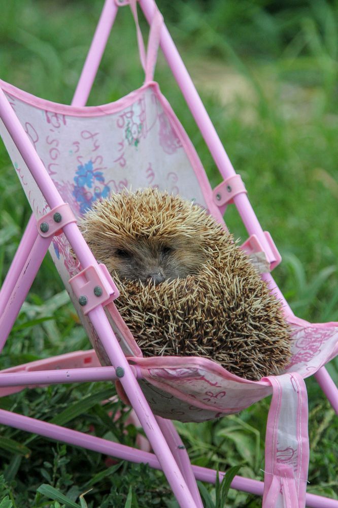 Photograph by Мария Маркина