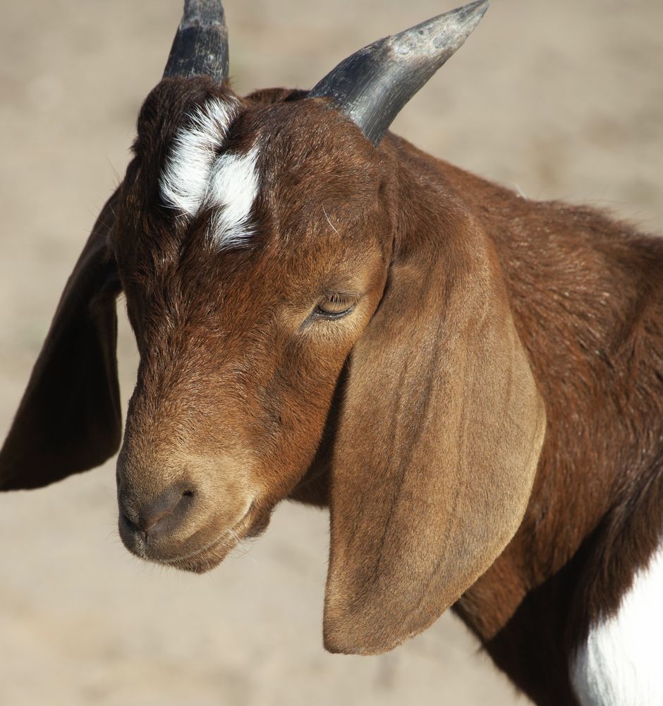 Фотография автора Galina Sa