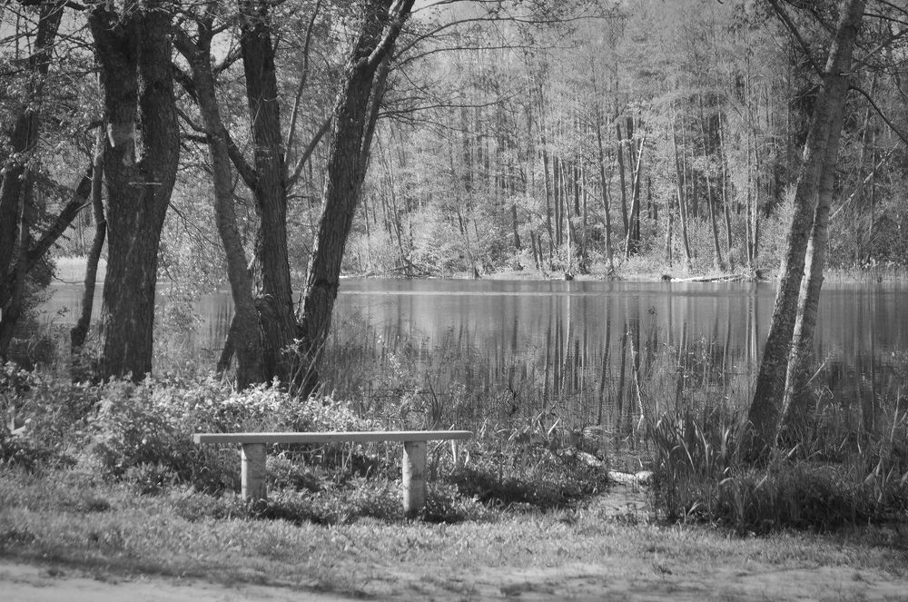 Photograph by Светлана Логинова