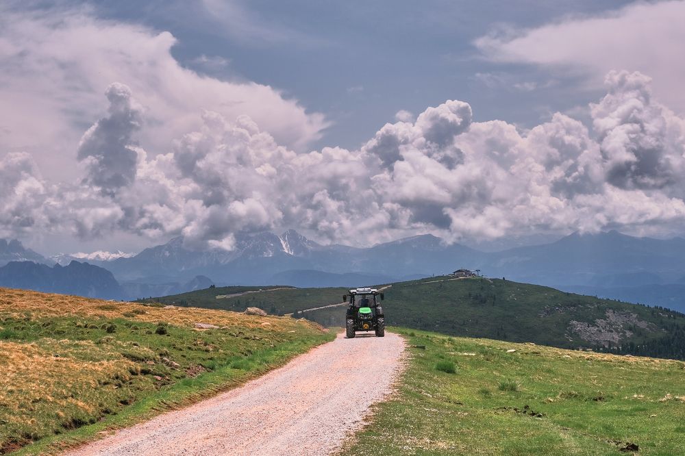 Photograph by Ranko Dokmanovic