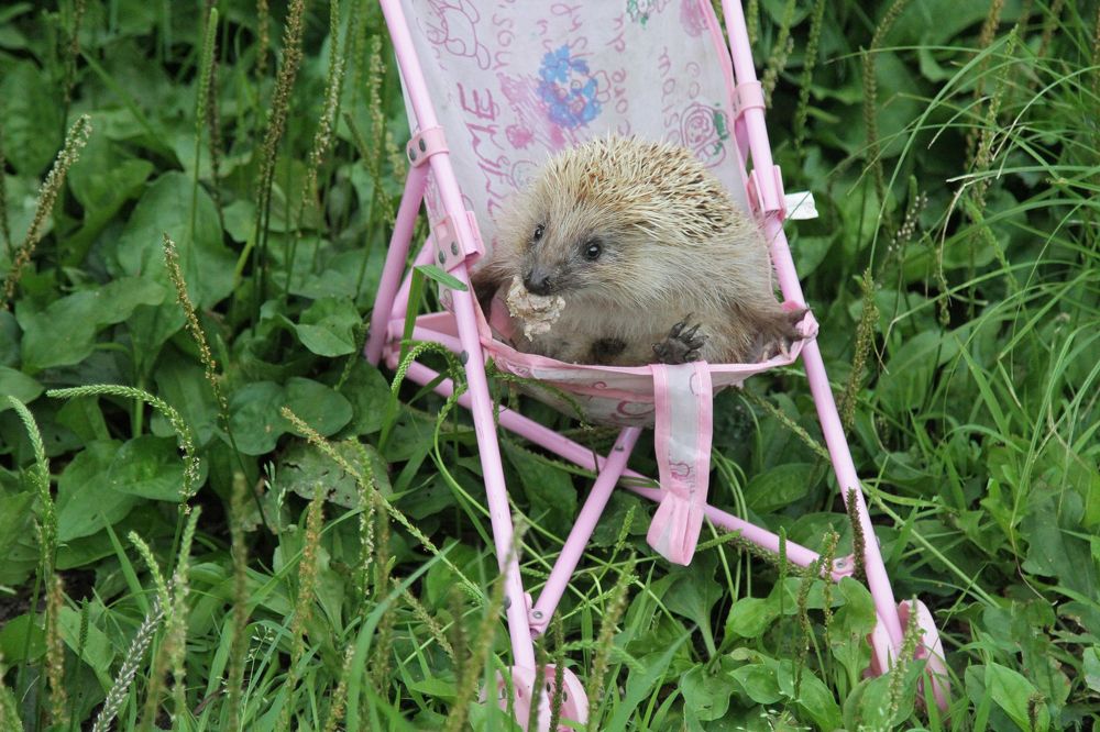 Photograph by Мария Маркина