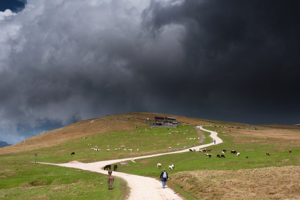 Photograph by Ranko Dokmanovic