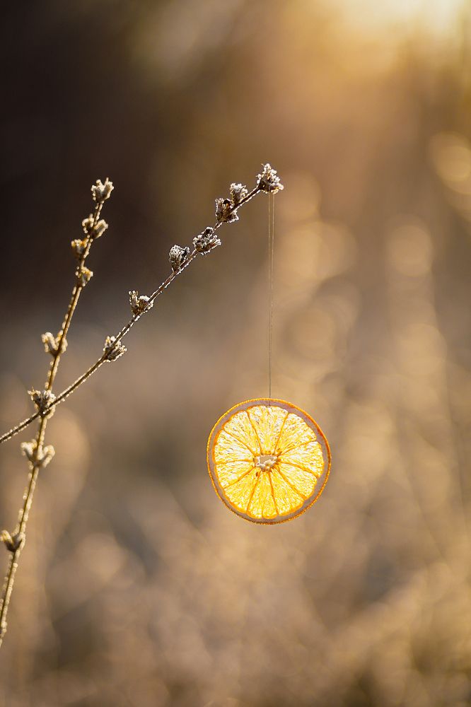Photograph by Анастасия Аношина