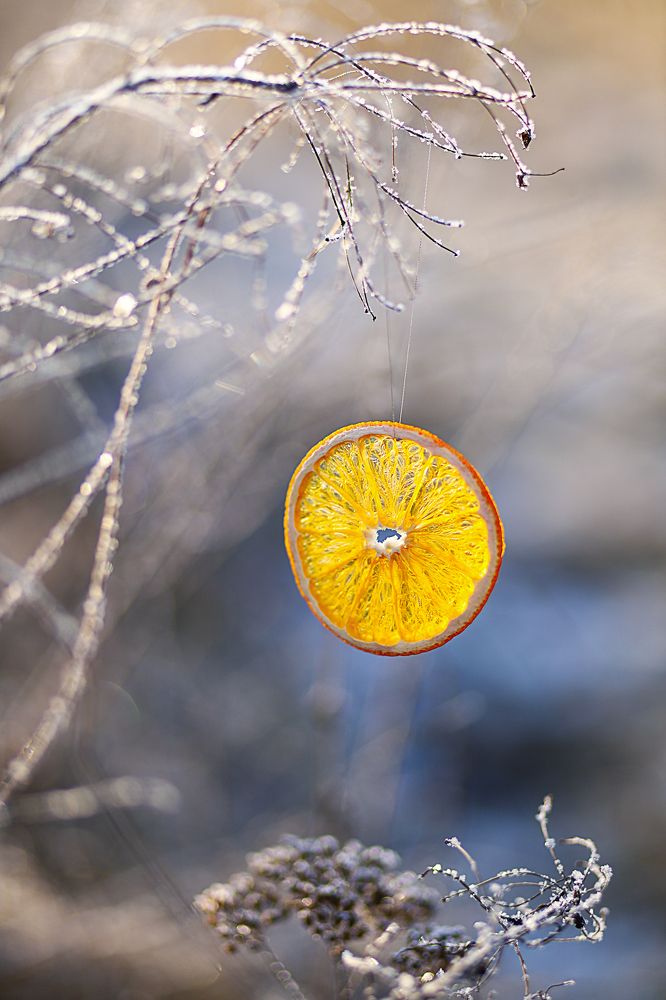 Photograph by Анастасия Аношина