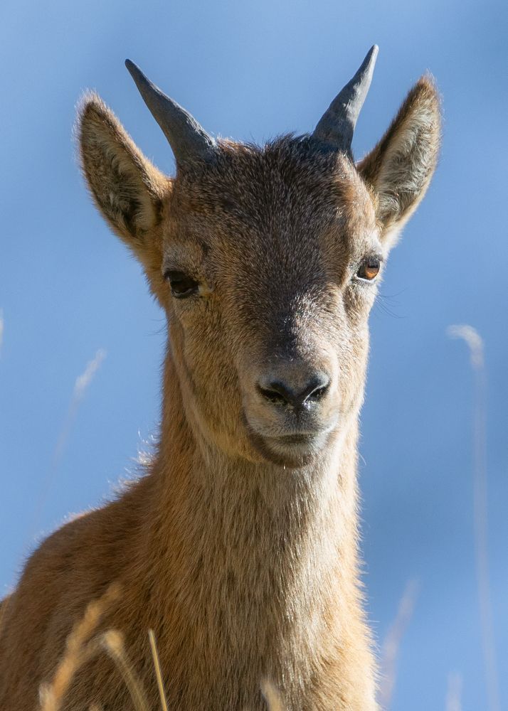 Photograph by Ekaterina Romanova