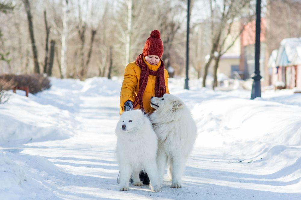 Photograph by Марина Комина