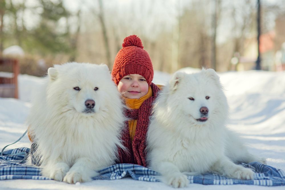 Photograph by Марина Комина