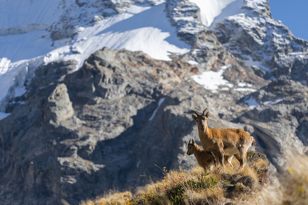 Photograph by Ekaterina Romanova