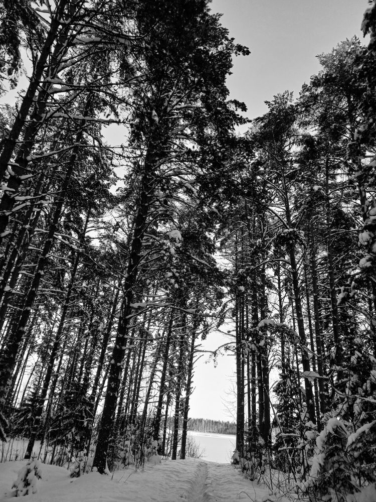 Photograph by Оля Горбанева