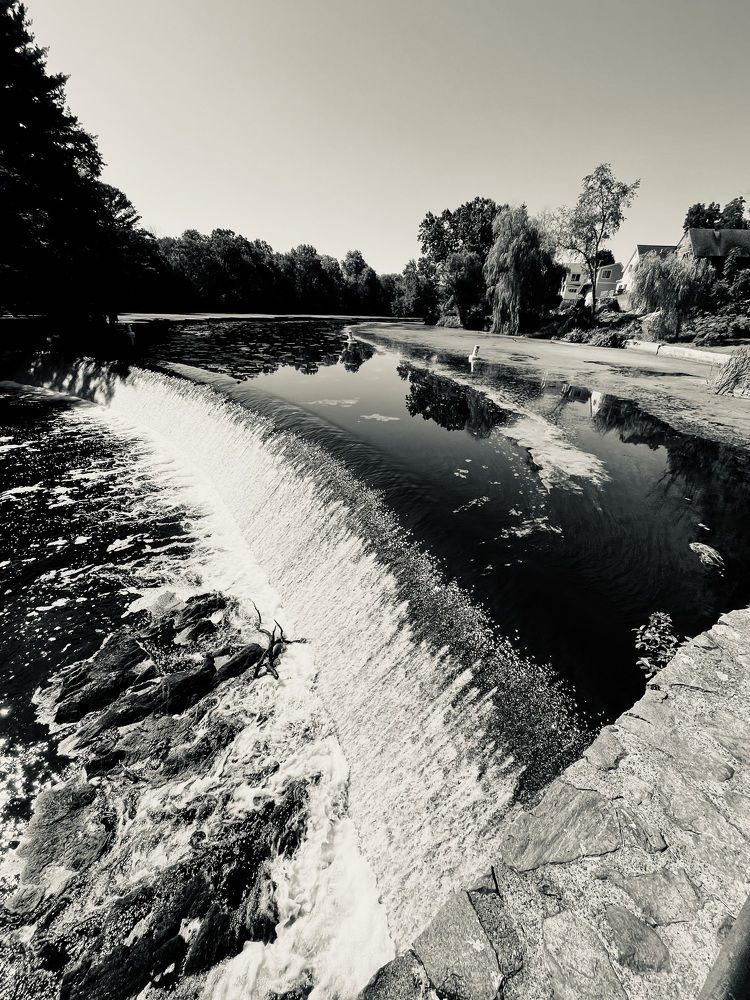 Photograph by Olga Andriuc