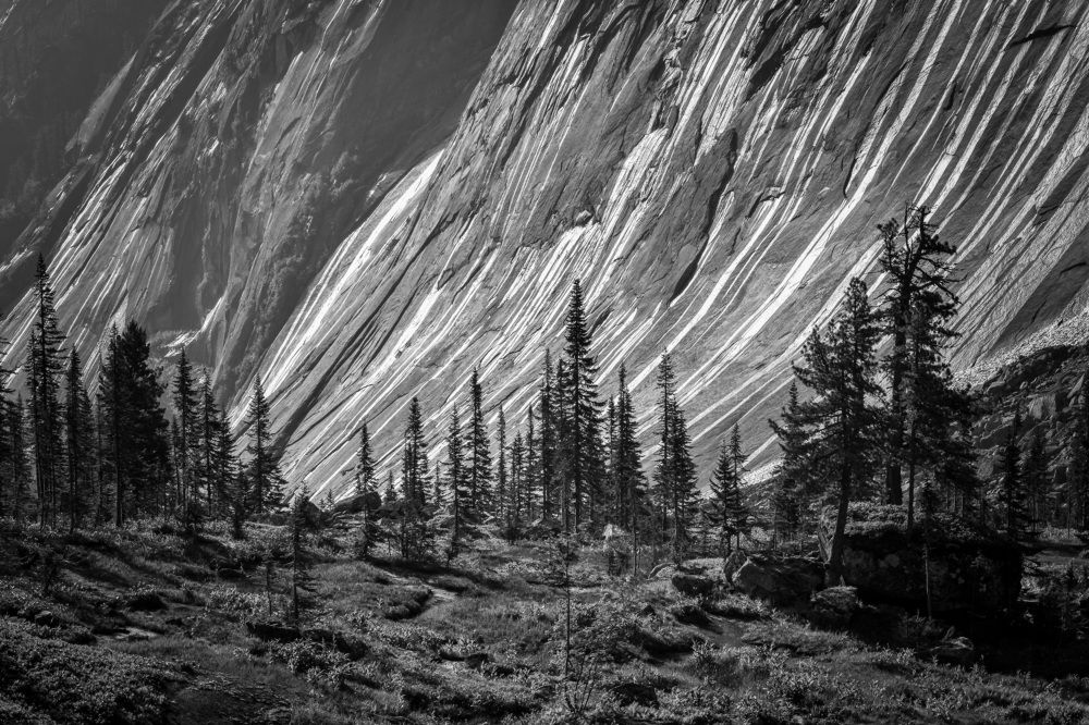 Ергаки Тайгишонок