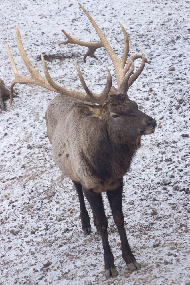 Photograph by Алексей Борисов