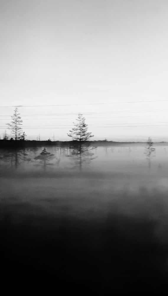 Photograph by Арина Бурда