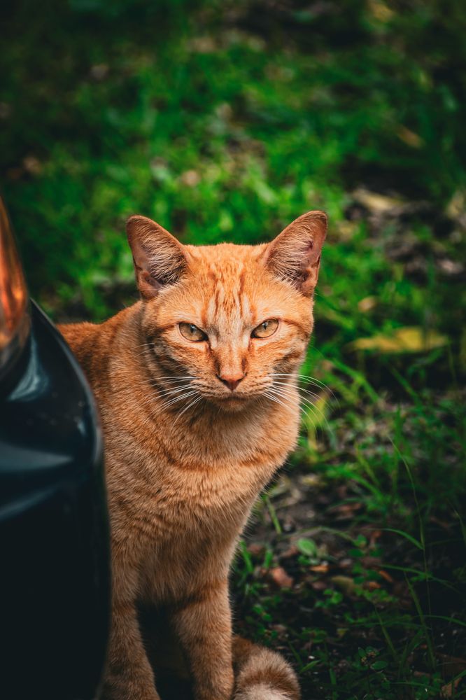 Photograph by Mauricio Santiago Boulogne