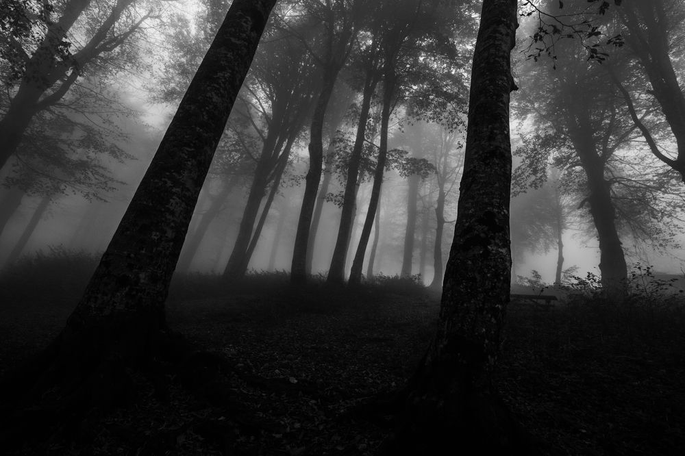 Photograph by Yilmaz Keles