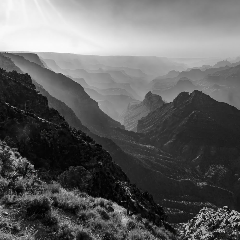 Фотография автора Jay Mason