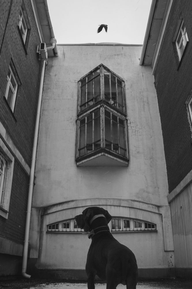 Photograph by Вадим Перминов