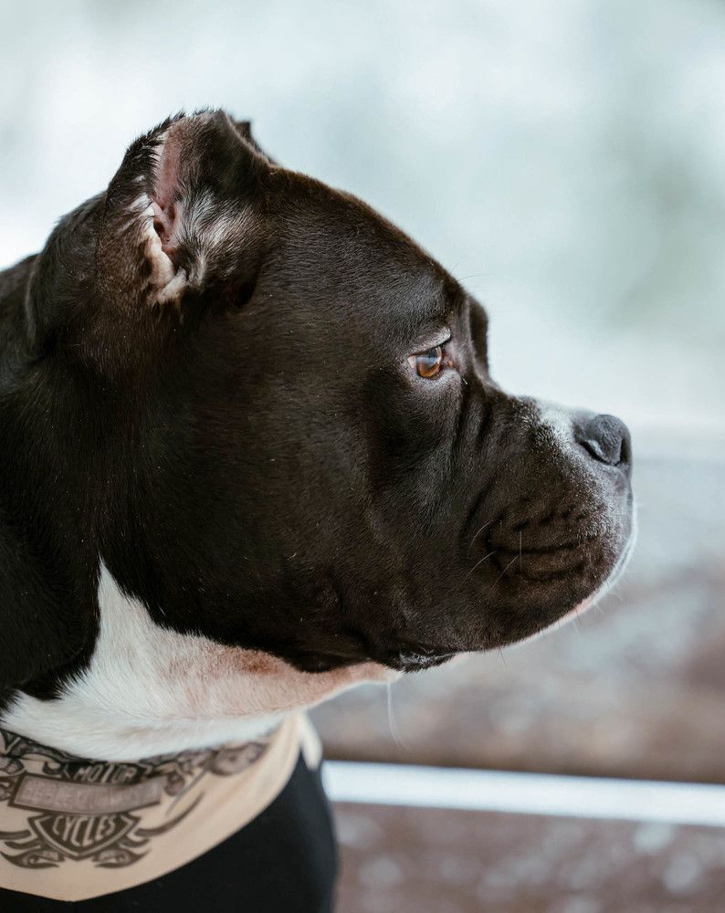 Photograph by Виктория