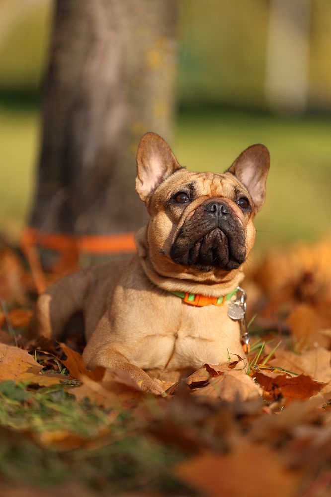 Photograph by Виктория