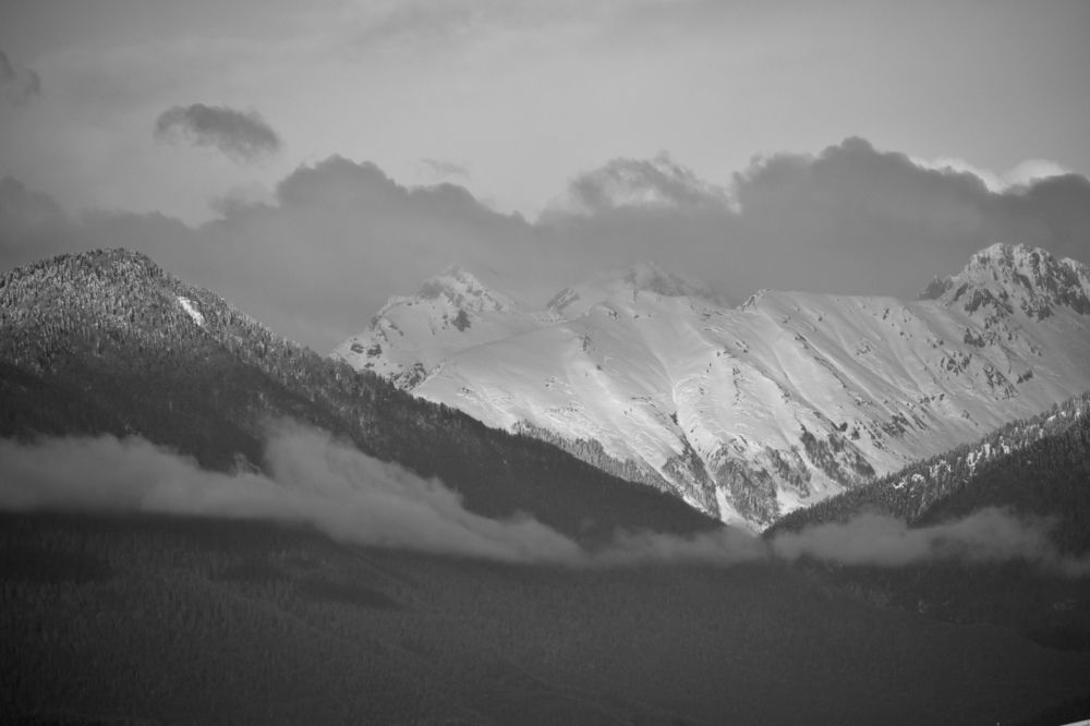 Photograph by Ксения Харлапина