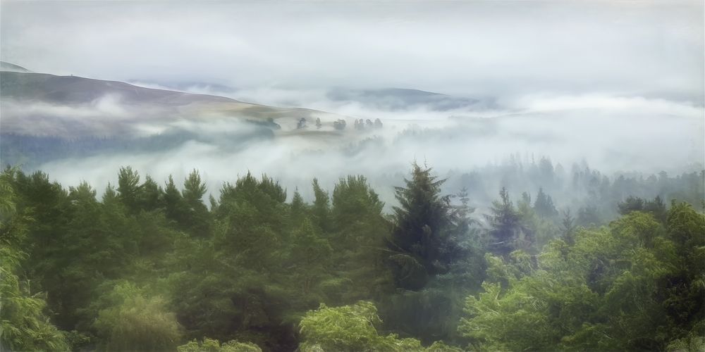 Фотография автора Jay Mason